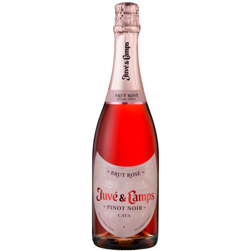 Juv & Camps Cava Brut Pinot Noir Rose (Nv) 750 ml