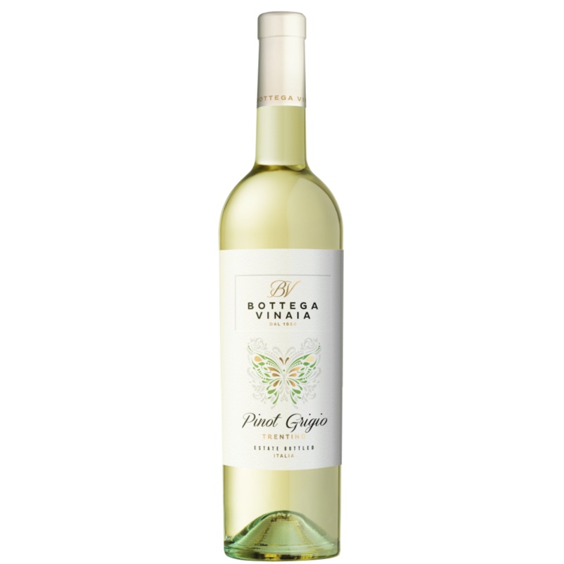 Bottega Vinaia 2020 Pinot Grigio