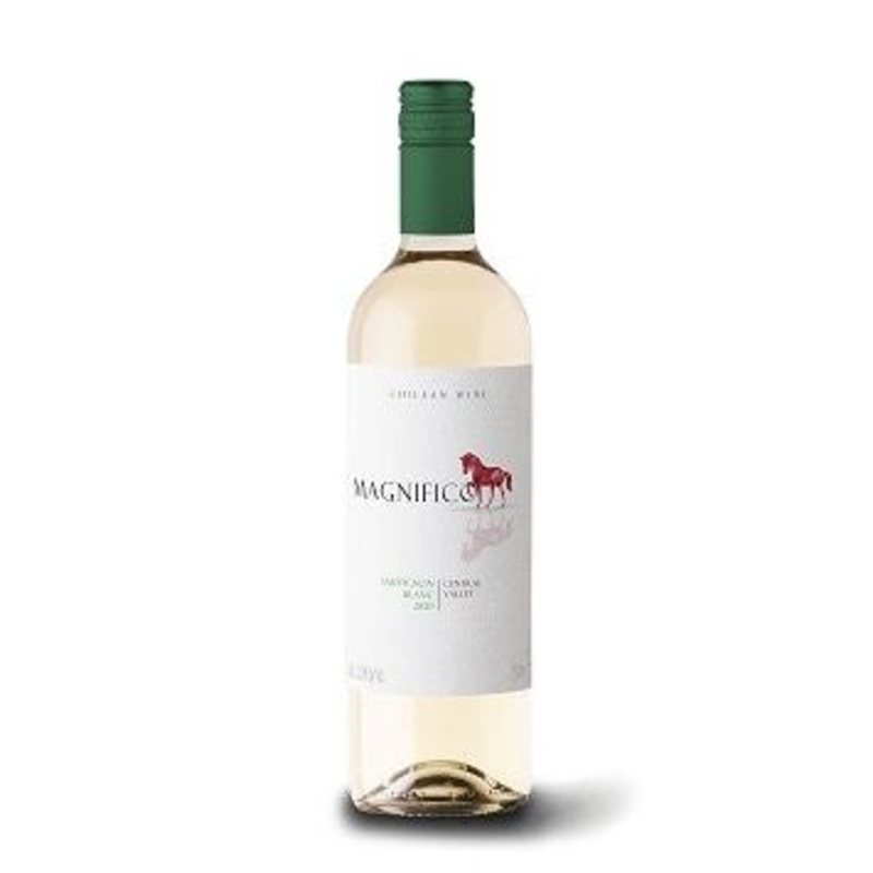 Magnifico Sauvignon Blanc Magnum 2020