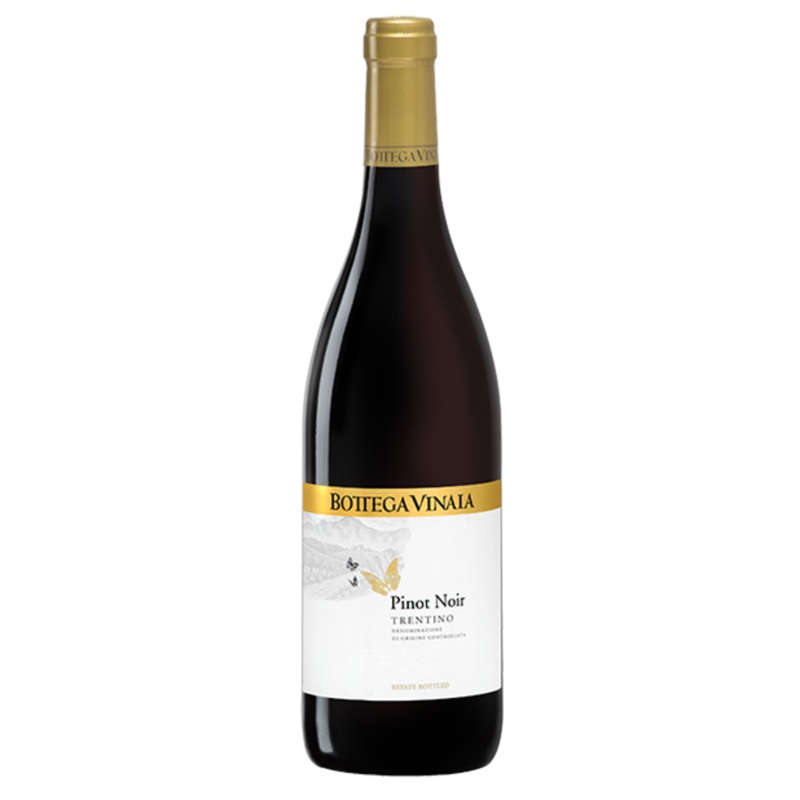 Bottega Vinaia Pinot Noir