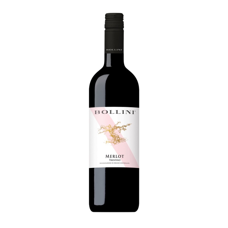 Bollini 2017 Merlot