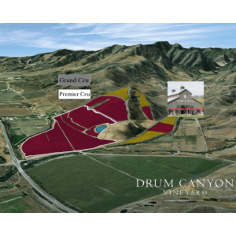 Dierberg 2020 Santa Rita Pinot Noir