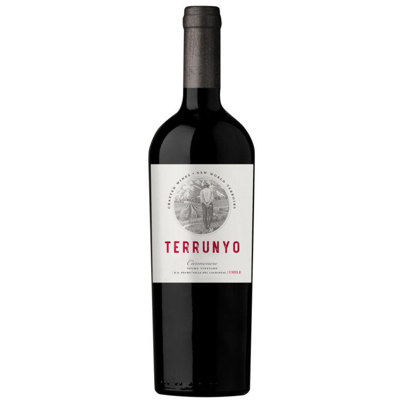 Concha y Toro 2017 Terrunyo Carmenere