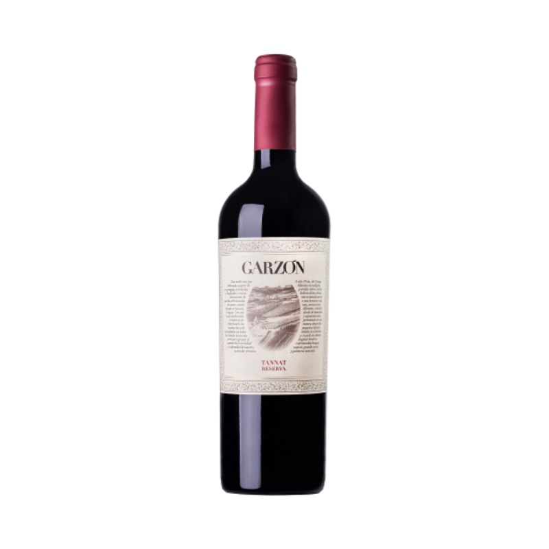 Bodega Garzon 2019 Reserve Tannat