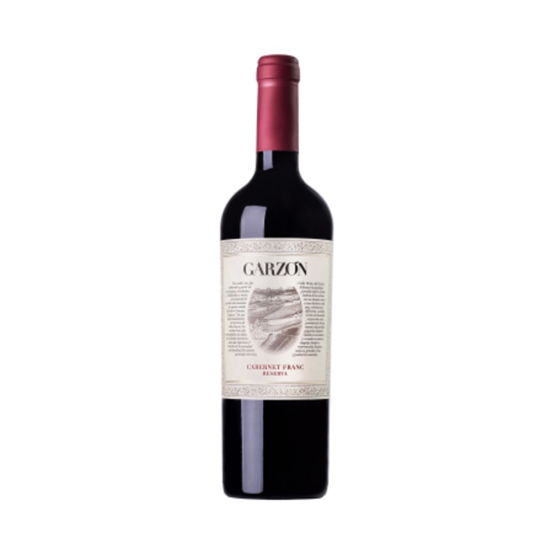 Bodega Garzon 2018 Cabernet Franc Reserve