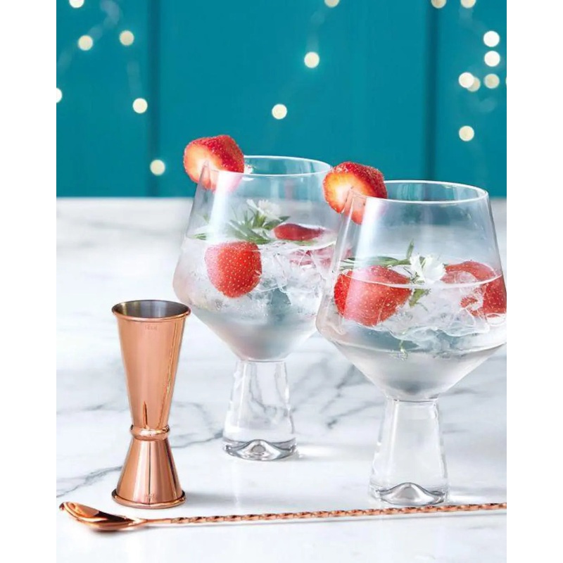 BTFY Gin Glasses Gift Set