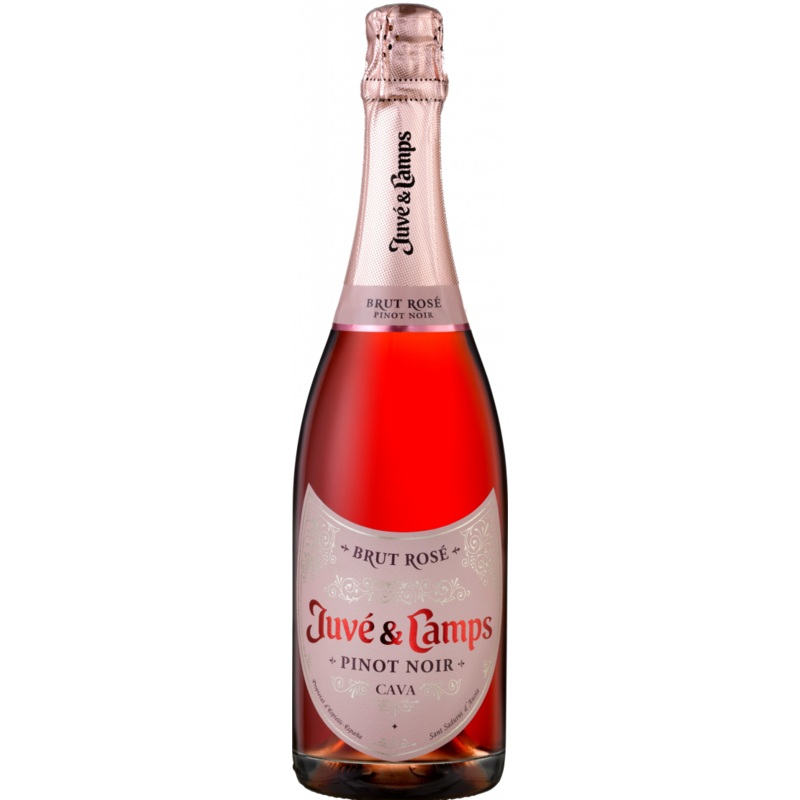 Juve y Camps Brut Rose Cava