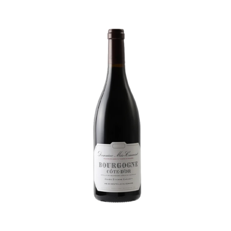 Domaine Meo Camuzet Bourgogne Rouge Cote D OR Cuvee Etienne Camuzet 2022 750ml (No Barcode)
