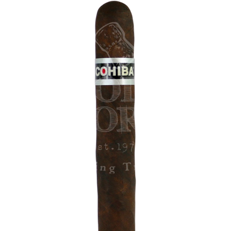 Cohiba Robusto Black